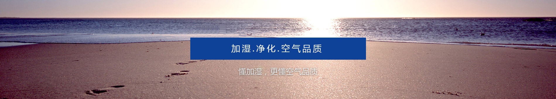 公司介绍
