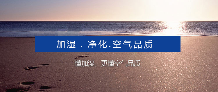 公司介绍